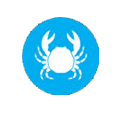 Crostacei